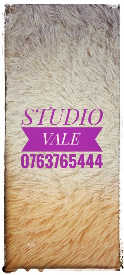 Апартаменти Studio Vale Хунедоара Екстер'єр фото